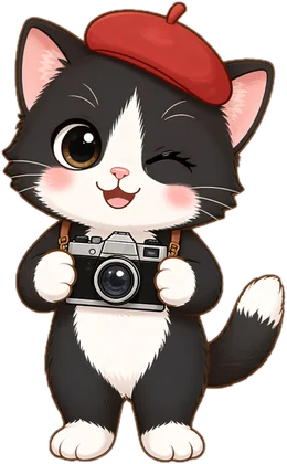 Olive, a black and white kitten with a red beret and a camera